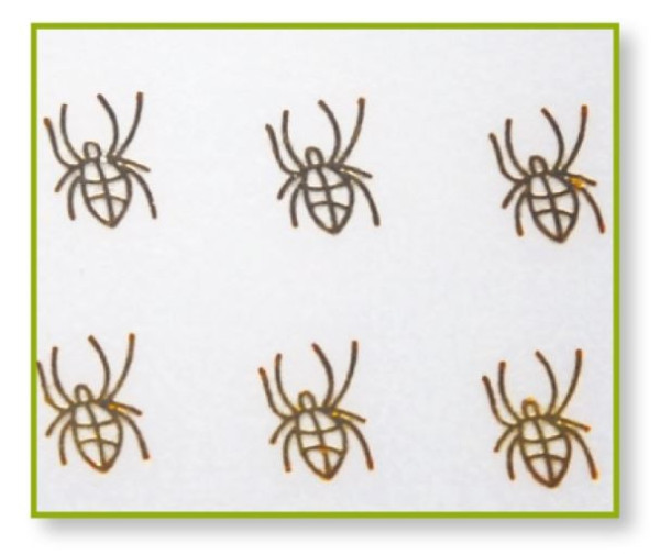Obtlačky EXPA Spiders 650709