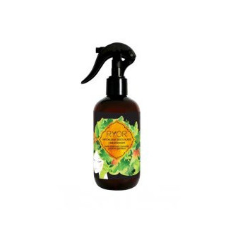 Ryor urýchľovač rastu vlasov - 3 mesačná kúra 250ml